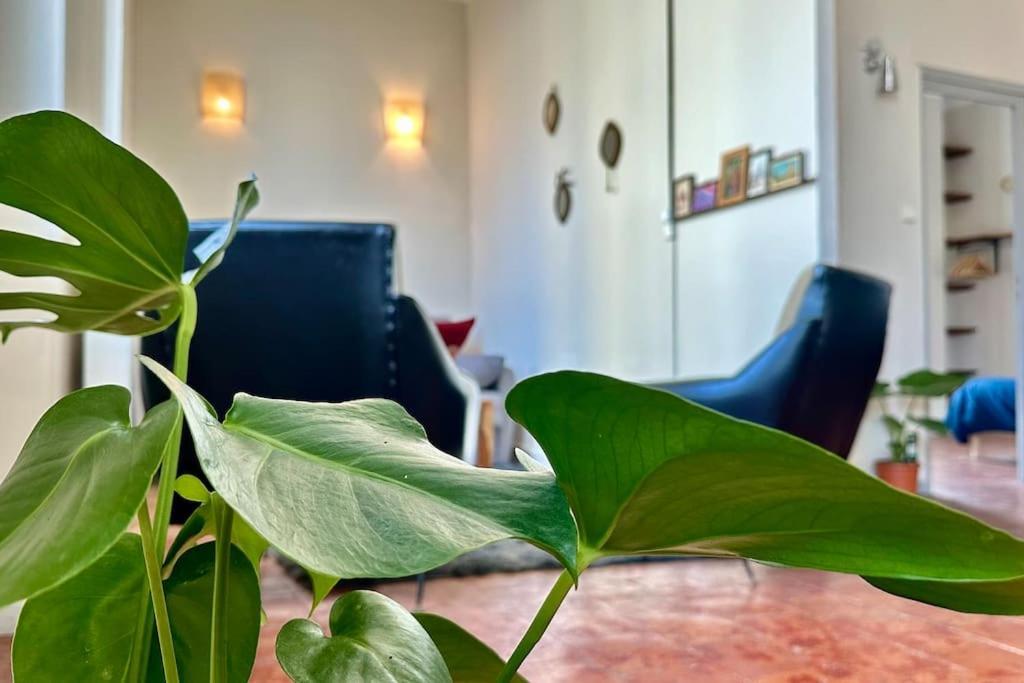 Sc Collection - Charme Et Authenticite Du Panier Apartment Marseille Ngoại thất bức ảnh